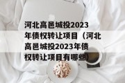 河北高邑城投2023年债权转让项目（河北高邑城投2023年债权转让项目有哪些）