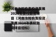 河南汝阳农发投资发展2024年债权融资项目（河南汝阳农发投资发展2024年债权融资项目招标）