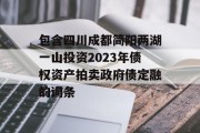 包含四川成都简阳两湖一山投资2023年债权资产拍卖政府债定融的词条