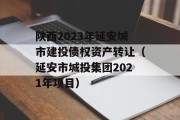 陕西2023年延安城市建投债权资产转让（延安市城投集团2021年项目）