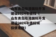 山东青岛陆港国际开发建设2024年债权（山东青岛陆港国际开发建设2024年债权城投债定融）