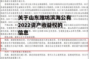 关于山东潍坊滨海公有2022资产收益权的信息