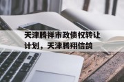 天津腾祥市政债权转让计划，天津腾翔信鸽