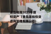 青岛和晟2023年债权资产（青岛晟和投资咨询管理有限公司）