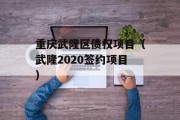 重庆武隆区债权项目（武隆2020签约项目）