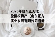 2023年山东正方控股债权资产（山东正方实业发展有限公司招标）