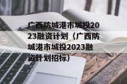 广西防城港市城投2023融资计划（广西防城港市城投2023融资计划招标）