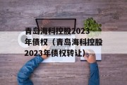 青岛海科控股2023年债权（青岛海科控股2023年债权转让）