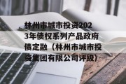 林州市城市投资2023年债权系列产品政府债定融（林州市城市投资集团有限公司评级）