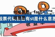 st啥意思，fast啥意思