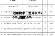 适用税率，适用税率20%,减按10%