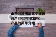 山东菏泽成武文亭建设资产2023年收益权产品的简单介绍