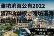 潍坊滨海公有2022资产收益权，潍坊滨海国投债权资产