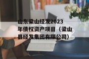 山东梁山经发2023年债权资产项目（梁山县经发集团有限公司）