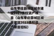 山东枣庄薛城区城市建设2023债权资产项目（山东枣庄薛城区城市建设2023债权资产项目招标）