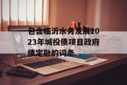 包含临沂水务发展2023年城投债项目政府债定融的词条