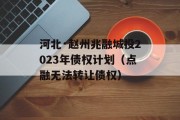 河北·赵州兆融城投2023年债权计划（点融无法转让债权）