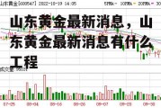 山东黄金最新消息，山东黄金最新消息有什么工程