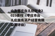 山东枣庄台儿庄财金2023债权（枣庄市台儿庄国有资产经营有限公司评级）