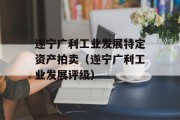 遂宁广利工业发展特定资产拍卖（遂宁广利工业发展评级）