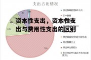 资本性支出，资本性支出与费用性支出的区别