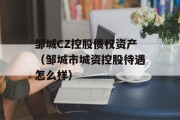 邹城CZ控股债权资产（邹城市城资控股待遇怎么样）