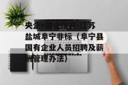 央企+国企信托-江苏盐城阜宁非标（阜宁县国有企业人员招聘及薪酬管理办法）