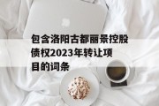 包含洛阳古都丽景控股债权2023年转让项目的词条