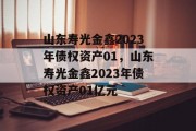 山东寿光金鑫2023年债权资产01，山东寿光金鑫2023年债权资产01亿元