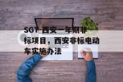 SGT-西安一年期非标项目，西安非标电动车实施办法