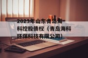 2023年山东青岛海科控股债权（青岛海科环保科技有限公司）