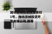 潍坊滨城投资政信债权1号，潍坊滨城投资开发有限公司 债券