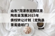 山东*菏泽市定陶区圣陶农业发展2023年债权转让计划（定陶县圣龙造纸厂）