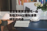 包含省属国企信托—山东临沂AA公募标准债项目的词条