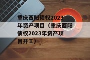 重庆酉阳债权2023年资产项目（重庆酉阳债权2023年资产项目开工）