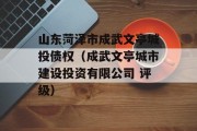 山东菏泽市成武文亭城投债权（成武文亭城市建设投资有限公司 评级）