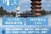 包含央企信托-非标新沂政信的词条