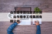 山东泰丰债权融资计划，山东泰丰工程集团有限公司