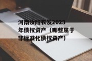 河南汝阳农发2023年债权资产（哪些属于非标准化债权资产）