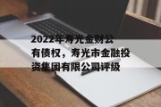 2022年寿光金财公有债权，寿光市金融投资集团有限公司评级