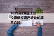 2023年TN区工业投资债权资产转让的简单介绍