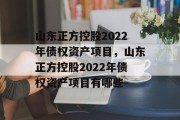 山东正方控股2022年债权资产项目，山东正方控股2022年债权资产项目有哪些