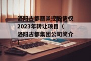 洛阳古都丽景控股债权2023年转让项目（洛阳古都集团公司简介）