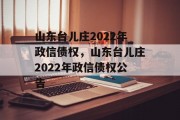 山东台儿庄2022年政信债权，山东台儿庄2022年政信债权公告