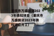 重庆市万盛国资2023年债权项目（重庆市万盛国资2023年债权项目开工）