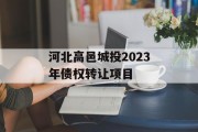 河北高邑城投2023年债权转让项目