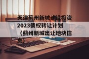 天津蓟州新城建设投资2023债权转让计划（蓟州新城出让地块信息）