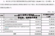 2022淄博公有政府债定融，淄博地方债务