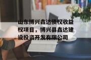 山东博兴鑫达债权收益权项目，博兴县鑫达建设投资开发有限公司