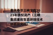 重庆奉节三峡生态2023年债权资产（三峡集团重庆生态环境技术创新研究院）